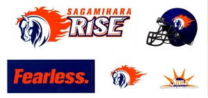 ライズステッカー.jpg