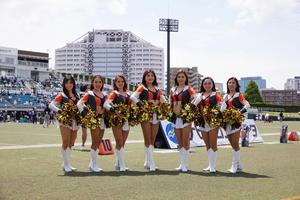 IMG_2067.jpeg