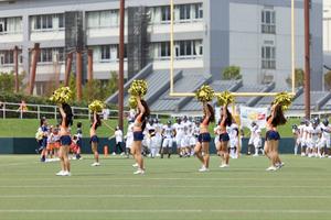 IMG_5601.jpeg
