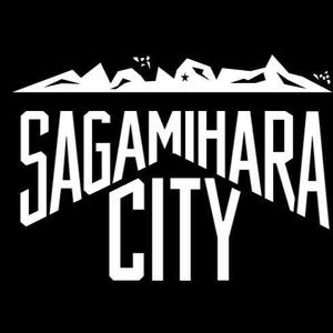 SagamiharaCity.jpg
